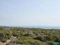 Revente - Appartement - Guardamar del Segura