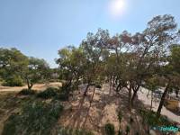 Revente - Appartement - Guardamar del Segura