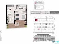 Obra Nueva - Apartamento/Piso - San Miguel de Salinas