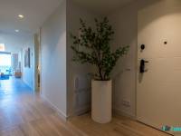 New Build - Apartment/Flat - Guardamar del Segura